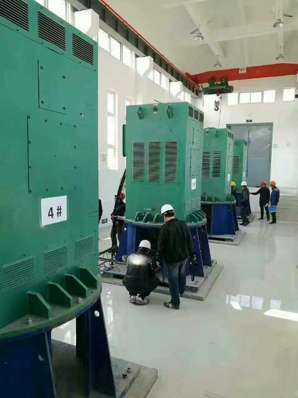 睢宁某污水处理厂使用我厂的立式高压电机安装现场